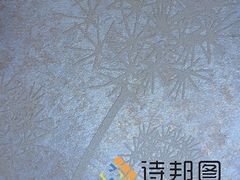 中國(guó)新型環(huán)保建材--買優(yōu)惠的綠色建材,就來(lái)詩(shī)邦圖-詩(shī)邦圖(中國(guó))品牌運(yùn)營(yíng)總部提供中國(guó)新型環(huán)保建材--買優(yōu)惠的綠色建材,就來(lái)詩(shī)邦圖的相關(guān)介紹、產(chǎn)品、服務(wù)、圖片、價(jià)格肌理漆、肌理壁膜、福建肌理漆、肌理壁膜漆代理、硅藻泥廠家、肌理液體壁紙、